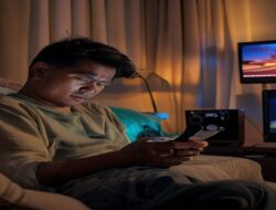 7 Insight Praktis sional Skip to content Breaking News Streaming vs TV Gratis Tanpa…