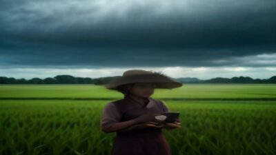 7 Fakta Kunci: Bandingkan Curah Hujan vs Suhu untuk Pertanian di Sawah