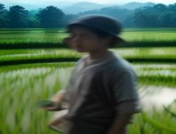o content Breaking News Bandingkan Curah Hujan vs Suhu Pertanian Sawah o content…