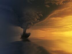 Fakta Pertandingan: Satu Grup dengan Kendal Tornado dan PSBS Biak, Persebaya Bidik Sapu Bersih Kemenangan di L…