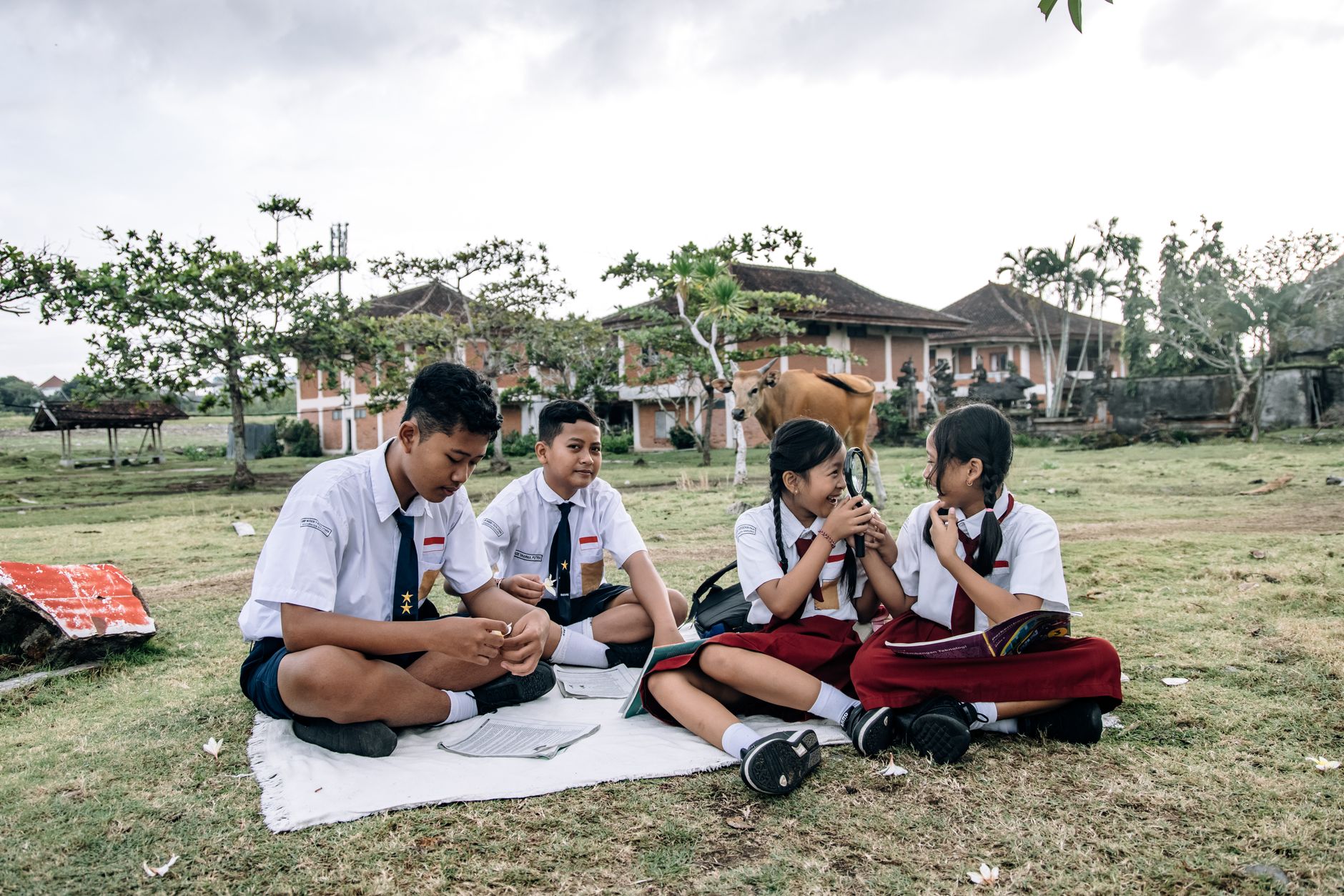 Empat siswa berpakaian seragam belajar bersama di luar di lapangan berumput, merangkul pendidikan dan alam.